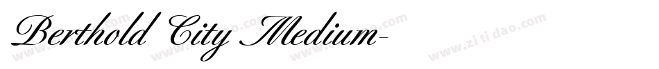 Berthold City Medium字体转换